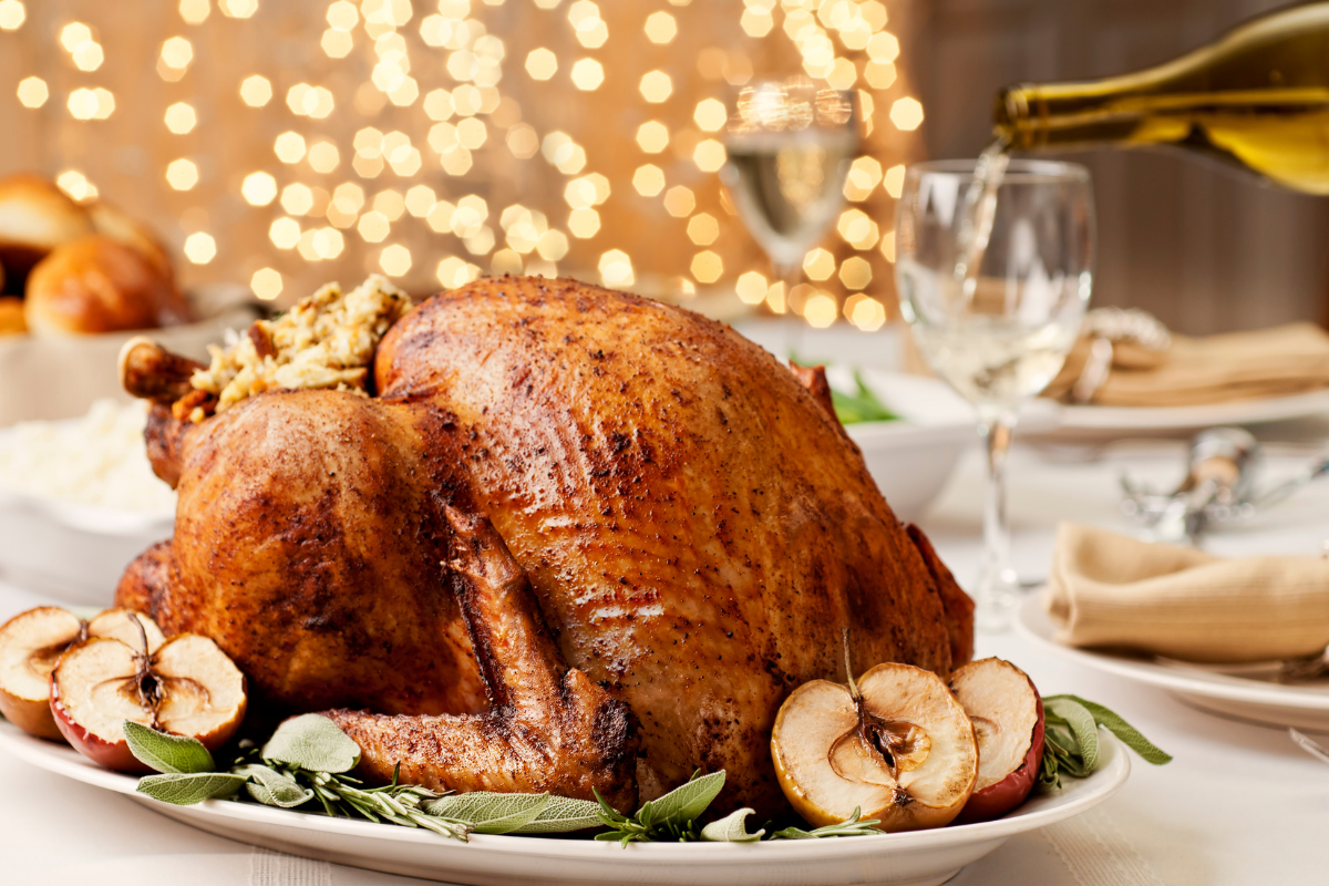 Výkrm brojlerových krůt – základní tipy pro hobby chovatele