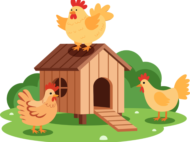 Hygiena v chovu: Jak správně vyčistit kurník, králíkárnu i odchovnu před sezónou