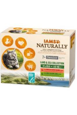 Iams Cat