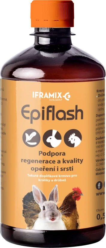 Epiflash 500ml