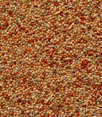 AVICENTRA - Andulka Classic menu 20 kg
