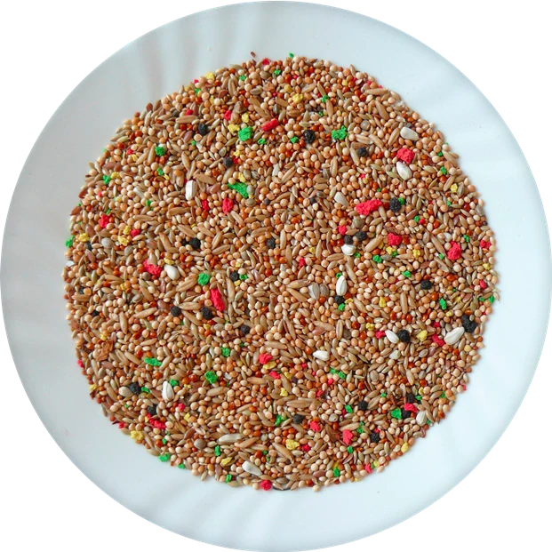 AVICENTRA - Andulka Deluxe 500 gr