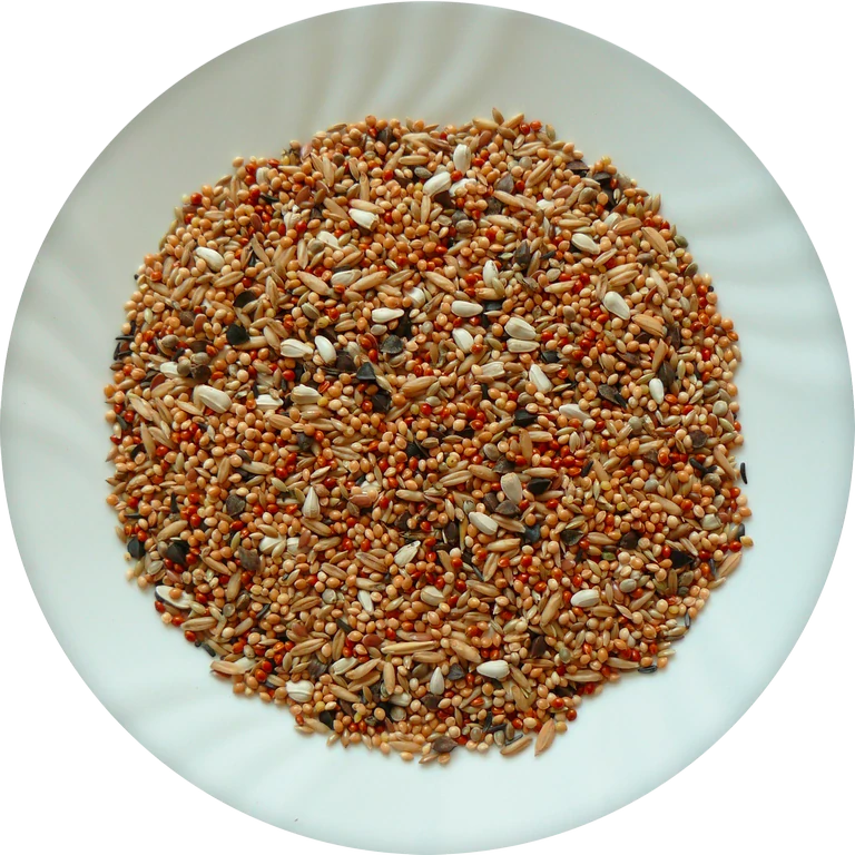 Avicentra Professional Agapornis 20kg