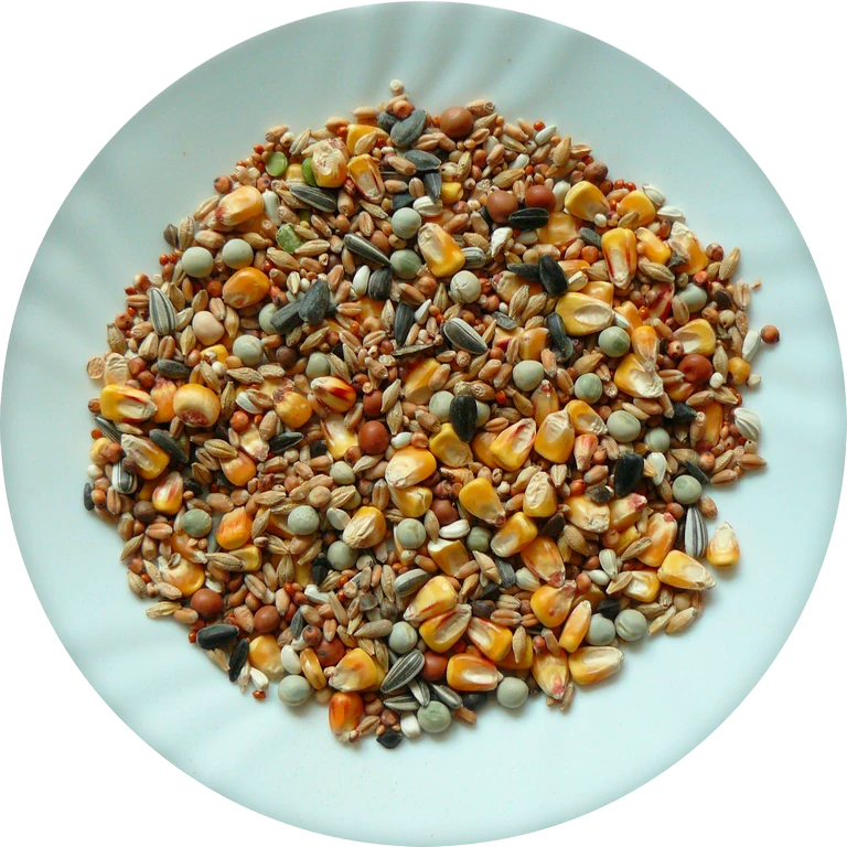 Avicentra Holub standard 25kg