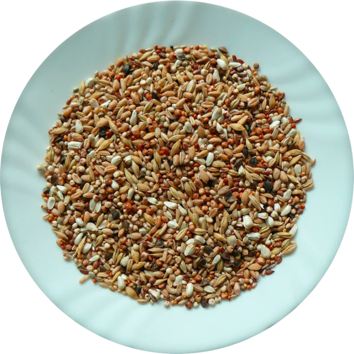 Avicentra Super dieta holub 25kg