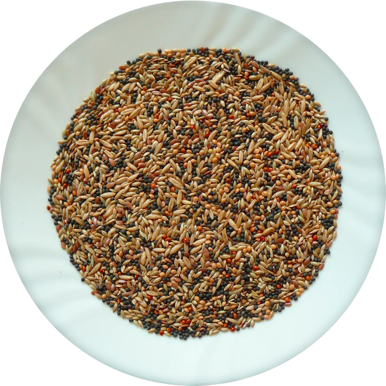 AVICENTRA - Kanár Classic menu 500 gr