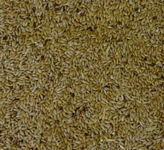 Lesknice 1 kg