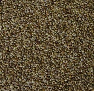 Konopné semínko 25 kg