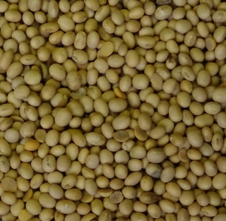 Soja 1 kg