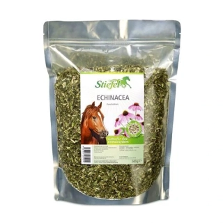 STIEFEL - Echinacea