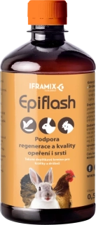 Epiflash 500ml